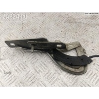 Петля капота правая Renault Megane I (1995-2003) 2002 7700834370