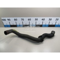 Патрубок радиатора Citroen-Peugeot C3 Picasso (2008 - 2017) 9671781180