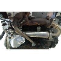 Радиатор EGR Volkswagen Passat B6 (2005-2010) 2009 03L131512
