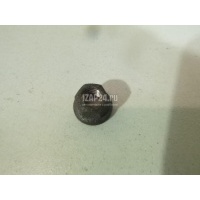 Гайка выпускного коллектора VAG Golf IV/Bora (1997 - 2005) N90894601