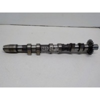 Распредвал выпускной VAG Passat [B5] (1996 - 2000) 078109022