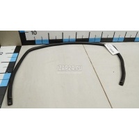 Уплотнитель стекла двери VAG Passat [B5] (1996 - 2000) 3B9839439GB41