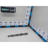 Распредвал VAG A3 [8PA] Sportback (2004 - 2013) 03F109101D