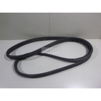Уплотнитель двери Renault Megane II (2003 - 2009) 8200077500