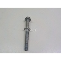 Болт Renault Scenic II (2003 - 2009) 7703002868