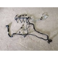 проводка двигателя Volkswagen Passat B7 2012 03L972619BG