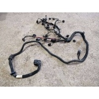 проводка двигателя Skoda Octavia 2 (A5) 2011 03C972619BL