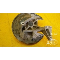 Кулак поворотный задний левый Volkswagen Passat (B6) 2005-2010 3C0505435F