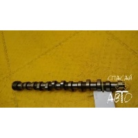 Распредвал впускной Audi Q7 (4L) 2005-2015 03H109102J