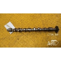 Распредвал выпускной Volkswagen Passat (B6) 2005-2010 03L109021