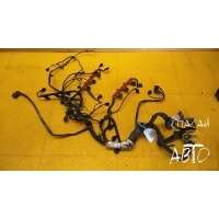 Проводка коса D3,4E 2003-2010 2004 4E1971713BE