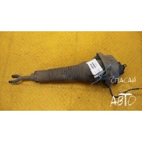 Амортизатор передний Audi A8 (D3,4E) 2003-2010 2004 4E0616039AF