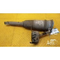 Амортизатор задний Audi A8 (D3,4E) 2003-2010 2004 4E0616001E