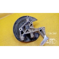 Кулак поворотный задний левый Volkswagen Passat CC 2008-2017 3C0505435F