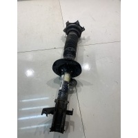 Амортизатор Haval F7x 2021 2905110XKQ00A