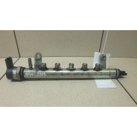 Рейка топливная (рампа) Land Rover Freelander 2 (2007 - 2014) LR022334