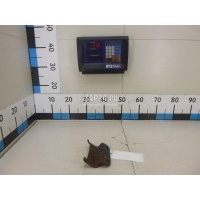 Кронштейн (сопут. товар) MAN TGS (2007 - 2014) 81517150046