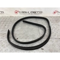 уплотнительная резинка двери Renault Logan 1 ls0 2005 (2004-2016) 6001547017, 41, <strong>-Б/У Детали сняты с АВТОМОБИЛЯ</strong>
