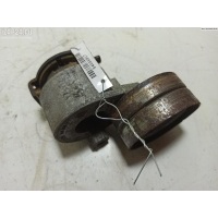 Механизм натяжения ремня, цепи Renault Scenic II (2003-2009) 2006 492180