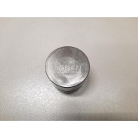 Толкатель клапана гидравлический VAG Sharan (2004 - 2010) 038109309C