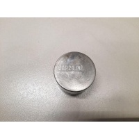 Толкатель клапана гидравлический VAG Sharan (2004 - 2010) 038109309C