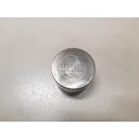 Толкатель клапана гидравлический VAG Sharan (2004 - 2010) 038109309C