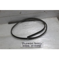 Уплотнитель Daewoo Nexia KLETN 2006 96176241