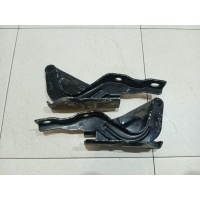 Петля капота (комплект) Hyundai Santa Fe (CM) II (2005–2009) 791102B000