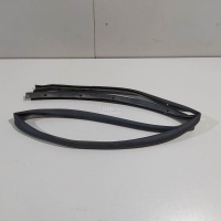 Уплотнитель (наружный) Renault Arkana 2019 764998390R