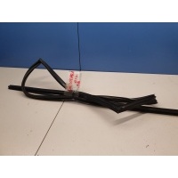 Уплотнитель стекла двери задний правый Suzuki Grand Vitara 1998-2005 8367165D00
