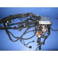 Проводка двигателя Audi A4 B6 2002 8E0906018B