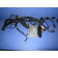 Проводка двигателя Volkswagen Passat B5 1998 8D0907558E
