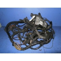 Проводка двигателя Volkswagen Polo 5 поколение 2013 03C906024BJ