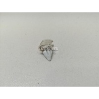 Крепеж (клоп) VAG Passat [B6] (2005 - 2010) 3C0853585