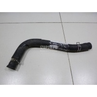 Патрубок радиатора Toyota Corolla E12 (2001 - 2007) 1657122160