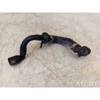 Трубка вакуумного насоса Volkswagen Touran 1 2007 1K0612041DB
