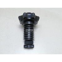 Болт крепления запасного колеса VAG Jetta (2006 - 2011) 1K0803899E