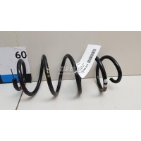 Пружина передняя VAG Tiguan (2007 - 2011) 5N0411105R