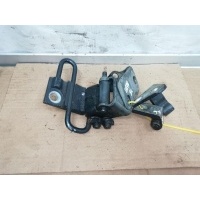 Петля двери задней левой Volkswagen Passat B7 2011 3C8833411B
