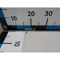 Крепеж Renault Megane III (2009 - 2016) 7703081160