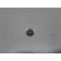Гайка VAG Passat [B7] (2011 - 2015) N10286111
