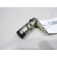Вставка замка багажника VAZ Lada Largus 2012 905023868R