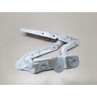Петля капота левая Ford C-MAX (2010 - 2019) 2005190