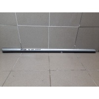 Молдинг передней левой двери Volkswagen Passat B7 3AA854939A
