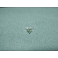 Крепеж (клоп) VAG Octavia (A7) (2013 - 2020) 5E0837732A