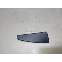 Накладка на дверь VAG A4 [B9] 2015 8W0837307