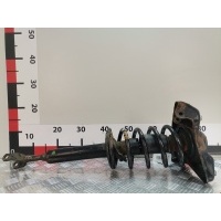 Стойка амортизатора переднего левого (МакФерсон) Volkswagen Passat 5 (1996-2000) 1998 3B0413031,3B0413031Q