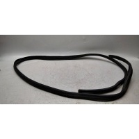 Уплотнитель проема двери передней левой renault Duster 2012> 808329099R