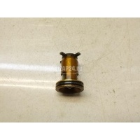 Клапан обратный VAG A6 [C6,4F] (2004 - 2011) 079103175C