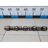 Распредвал Renault Megane I (1996 - 1999) 8200881281